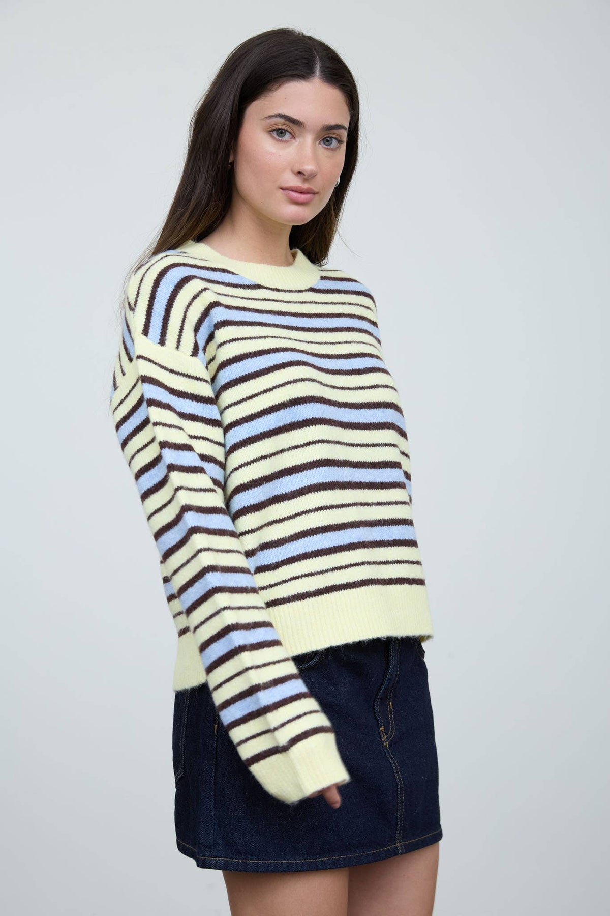 Multi-Color Stripe Crewneck Knit Sweater