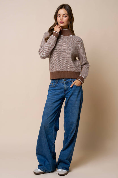 Turtleneck Knit Sweater